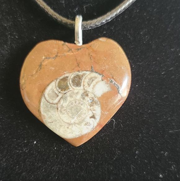 Coral Heart Fossil Necklace-nipomo Coral-fossil Jewelry  Heart Fossil Pendant Necklace in Brown